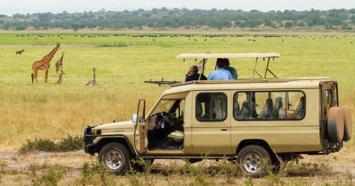 21-Travel-Destinations-to-visit-for-the-best-safari-in-Africa-continent