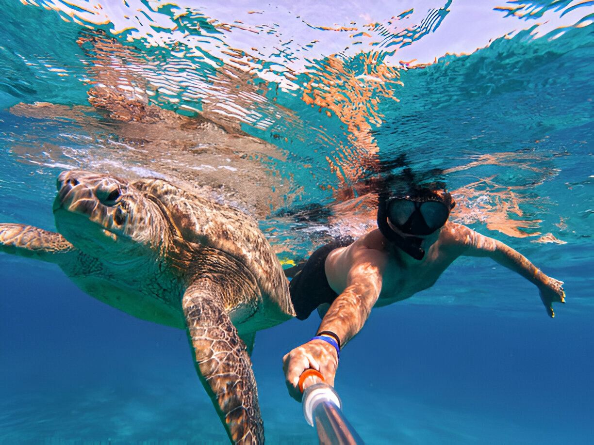 swimming-with-turtles-zanzibar