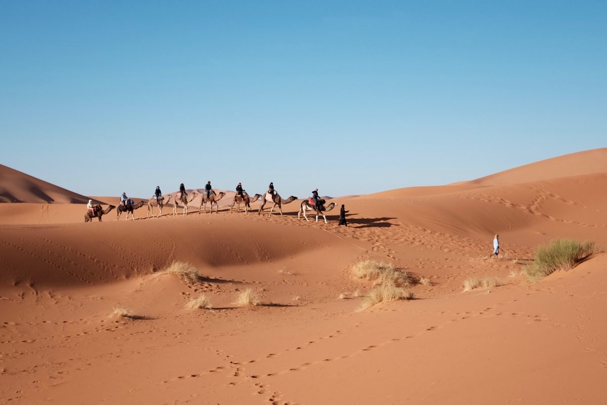 Kalahari-desert