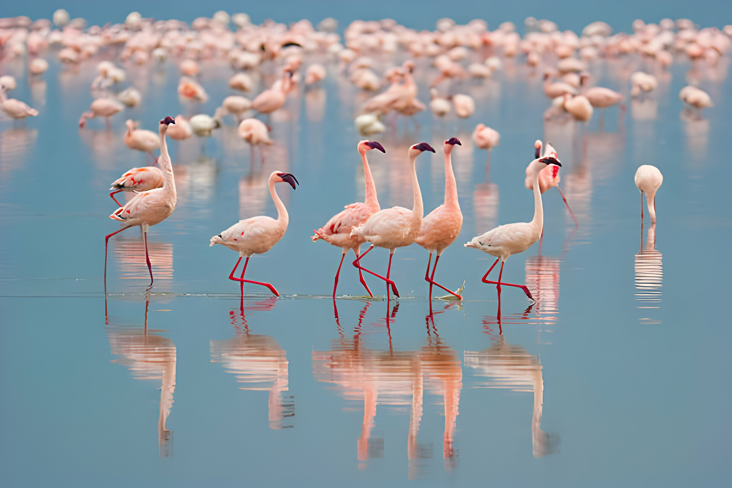 Lake Nakuru National Park 