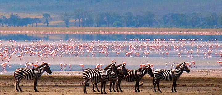 lake-manyara