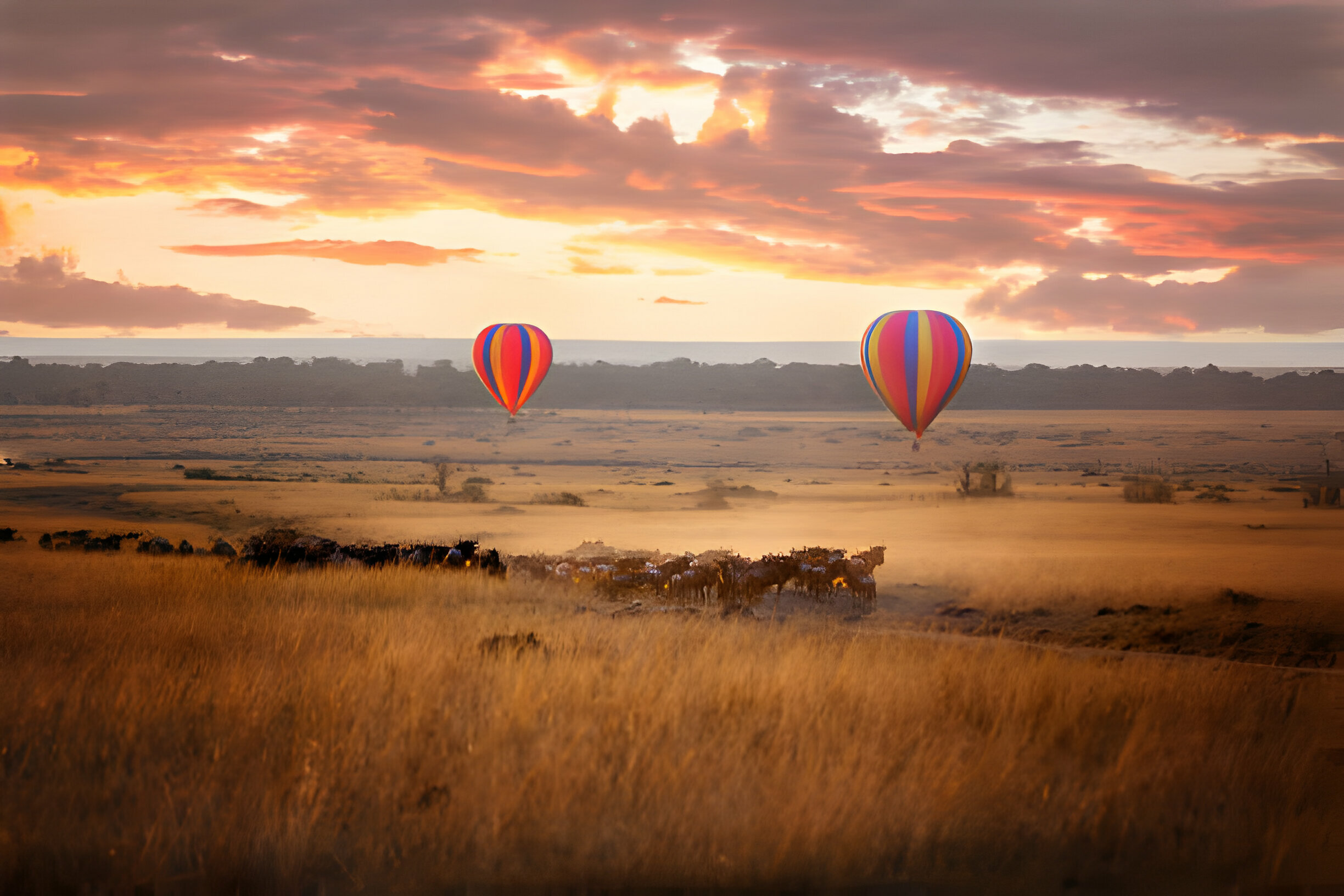 maasai