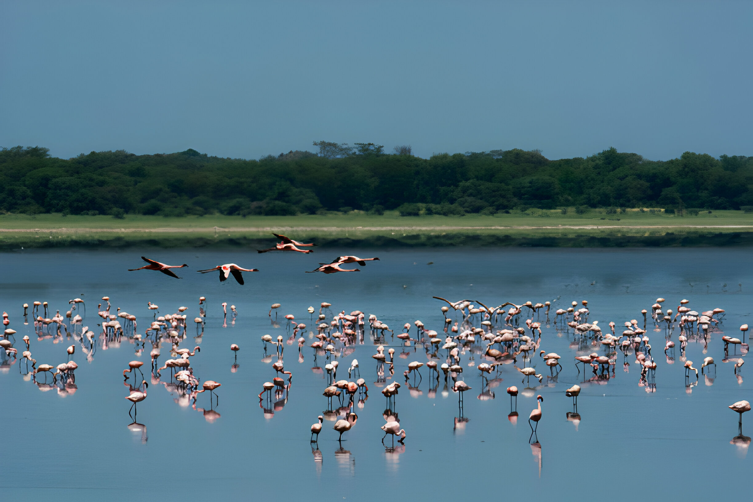 lake manyara