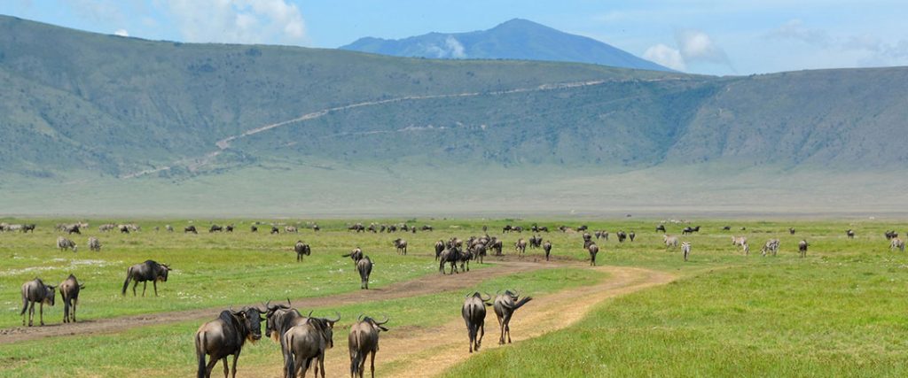 ngorongoro-crater