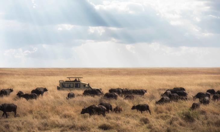 Tanzania