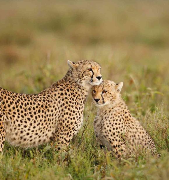 in any required fields