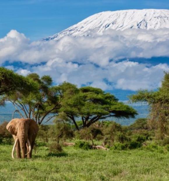 in any required fields