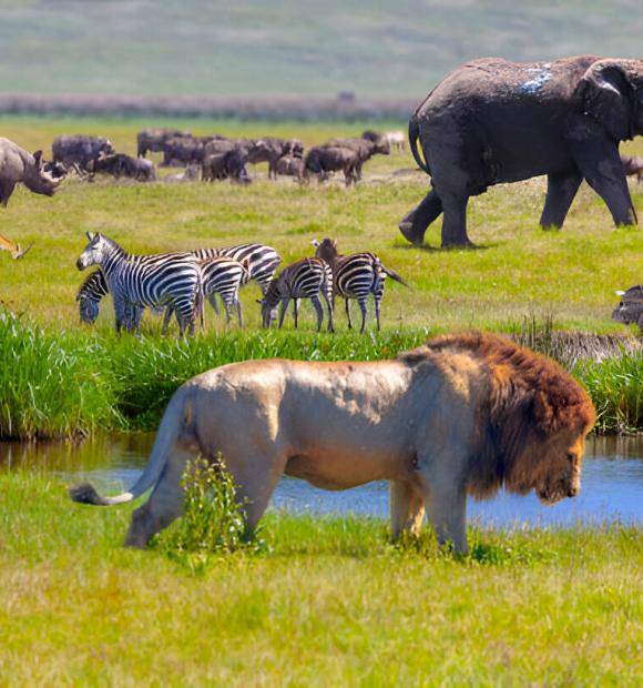 big five