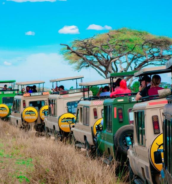 This itinerary offers a diverse and immersive experience, combining thrilling wildlife encounters in Tanzania's national parks with relaxation and exploration on the stunning beaches of Zanzibar Island.