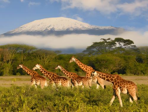 best time to visit Tanzania