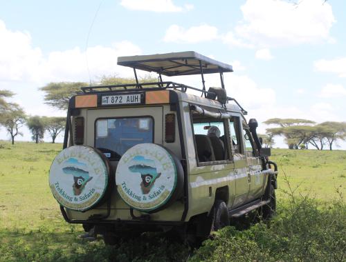 Our safari vehicle