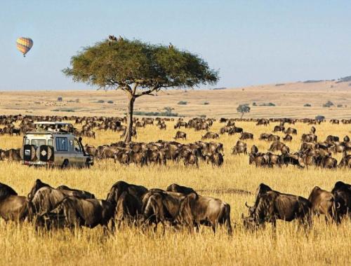 Masai Mara
