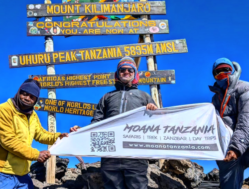 Moana Tanzania flag on top of Mount Kilimanjaro