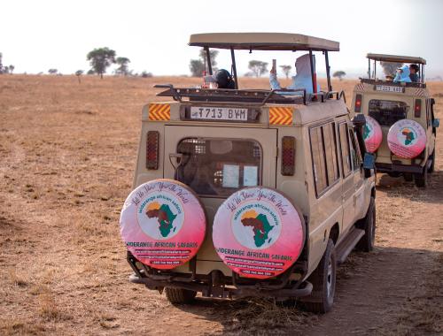 Widerange African Safaris |Tanzania safaris | Kilimanjaro Hiking