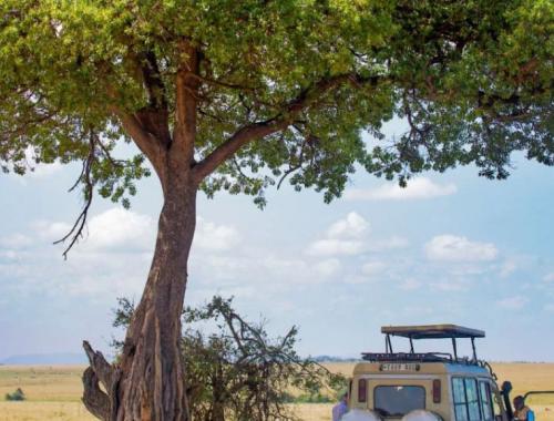 Tanzania Safari Specialist Guide with Travellers at Serengeti National Park