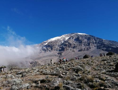 Mt Kilimanjaro