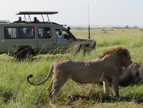 Kenya Tanzania Safari