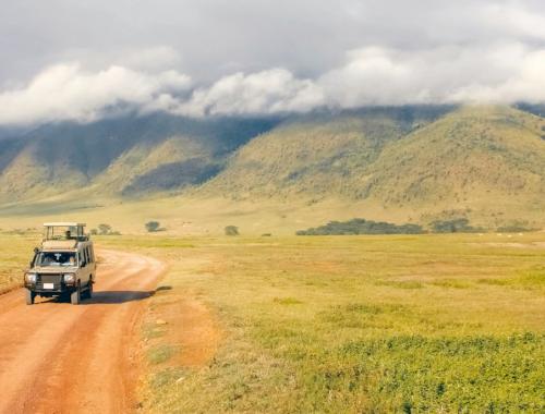 guided gamedrive in Ngorongoro crater