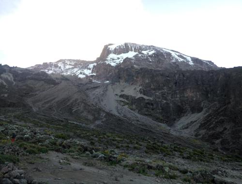 Mount Kilimanjaro view