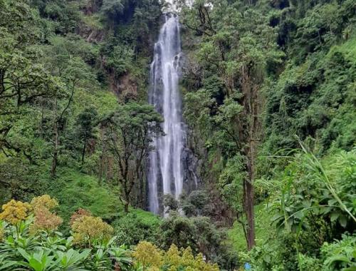 Udzungwa Mountains 