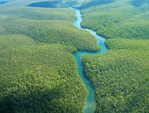 Wami river 