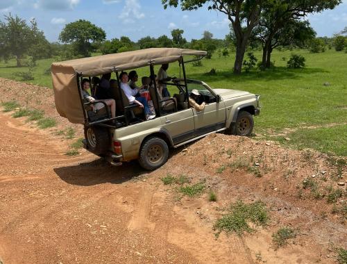 Game drive at Selous game reserve 