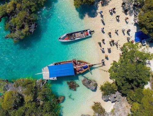 Discover Zanzibar Island like never before. Let us transform your travel dreams into reality as we guide you on an unforgettable journey through the magic of our homeland. 