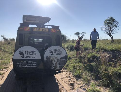 Game drive Victoria Track Murchison Falls National Park