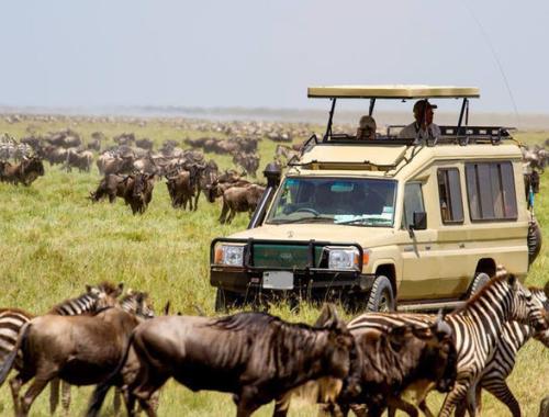 This 3-day safari offers a comprehensive glimpse into the beauty and diversity of Tanzania's wildlife and culture, promising an unforgettable experience.