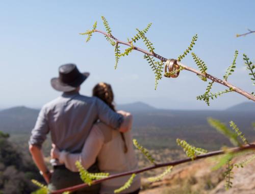 Love in the Wild