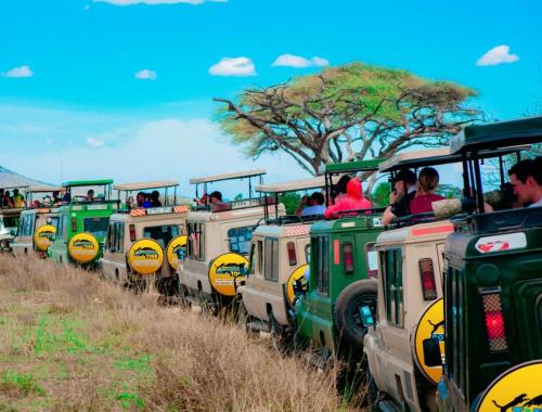 This itinerary offers a diverse and immersive experience, combining thrilling wildlife encounters in Tanzania's national parks with relaxation and exploration on the stunning beaches of Zanzibar Island.