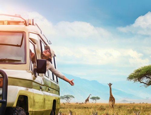 yoga safaris Tanzania