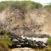 Cost to Tanzania Safari 